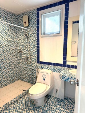 Shower, hair dryer, bidet, towels
