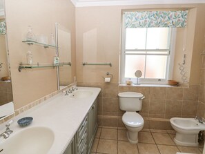 Shower, hair dryer