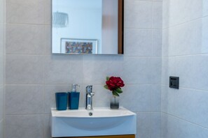 Ducha, secador de pelo, bidet, toallas