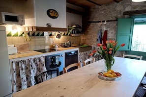 Fridge, microwave, oven, stovetop - Rustic Home in Mieres near Banyoles Lake (Mieres)
