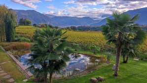 Un paesaggio tranquillo con uno stagno, palme e un vigneto sullo sfondo.