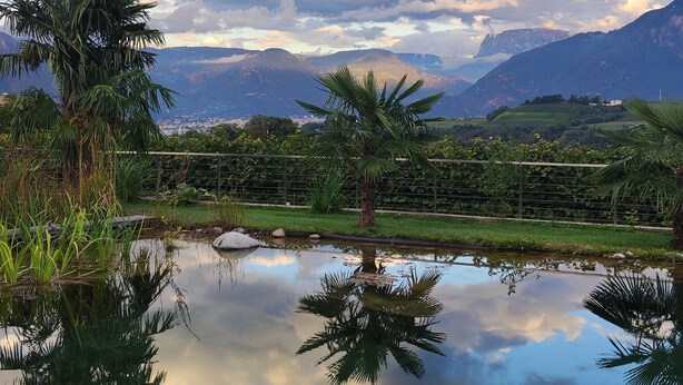 Paesaggio tranquillo con cielo sereno, palme e uno specchio d'acqua calma che riflette il cielo.