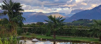 Oberberghof Apartment with Terrace, Stunning Views, Sauna, Natural Swimming Pond