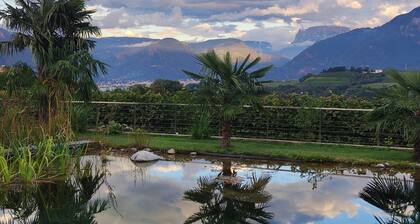 Oberberghof Apartment with Terrace, Stunning Views, Sauna, Natural Swimming Pond