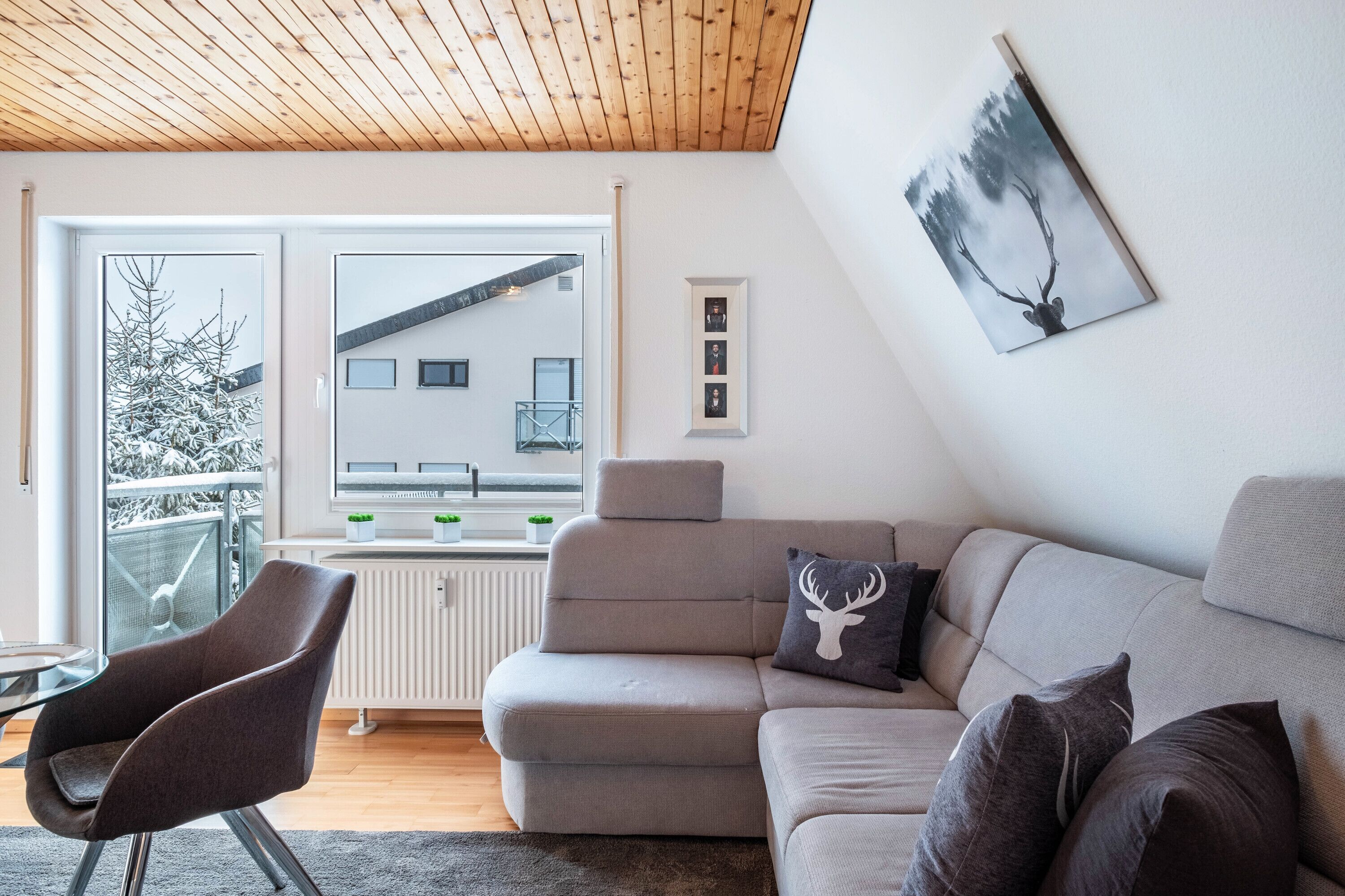 Televisio, DVD-soitin