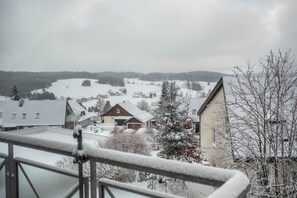 Property grounds - Studio Apartment 'Schwarzwaldblick F App 6 with Pool' with Wi-Fi (Schönwald im Schwarzwald)