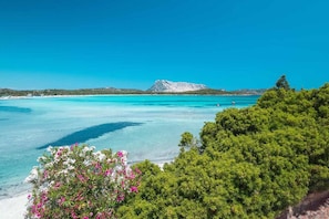 A coastal landscape with clear turquoise waters, a prominent mountain in the distance, and lush green vegetation in the foreground.