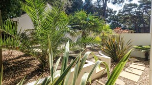 Een tuin met diverse planten en een wit gebouw op de achtergrond.