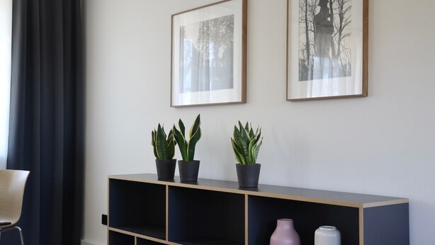 Una habitación con una cortina oscura, una silla, una consola con plantas en macetas y cuadros en la pared.