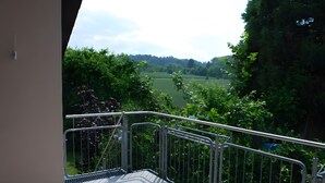 Ein Balkon mit Metallgeländer, der auf eine grüne Landschaft und Bäume blickt.