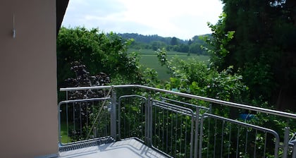 Ferienwohnung 'Mit Pool' mit Gemeinschaftspool, Gemeinschaftsgarten und Wi-Fi