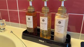 Combined shower/tub, free toiletries, hair dryer, towels