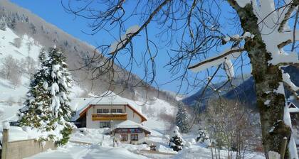 Appartement "Haus Am Rotwiesenbach" avec vue sur les montagnes, terrasse privée et Wi-Fi