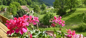 Apartment 'Haus Am Rotwiesenbach' with Mountain View, Private Terrace and Wi-Fi