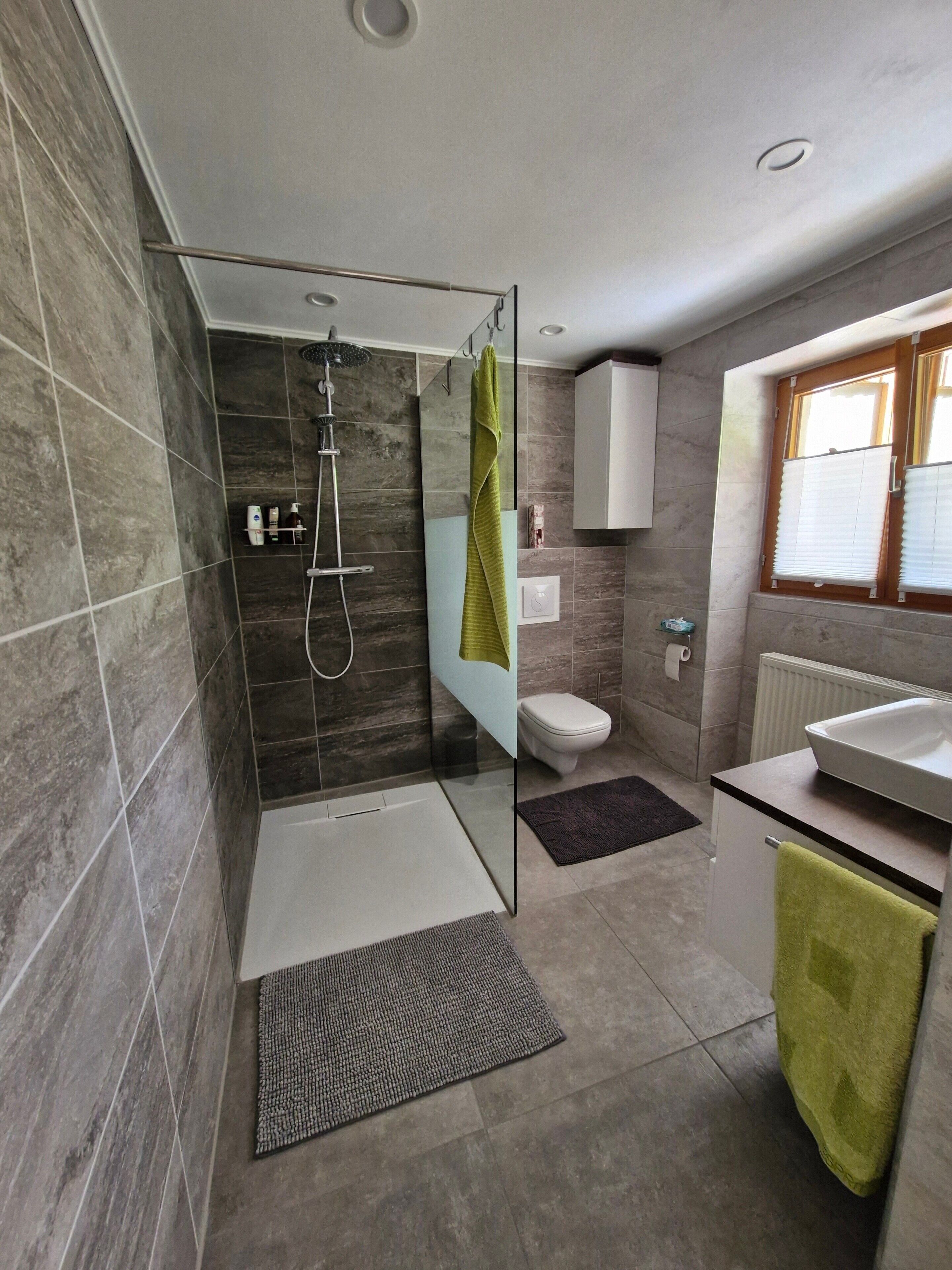 Shower, hair dryer, towels