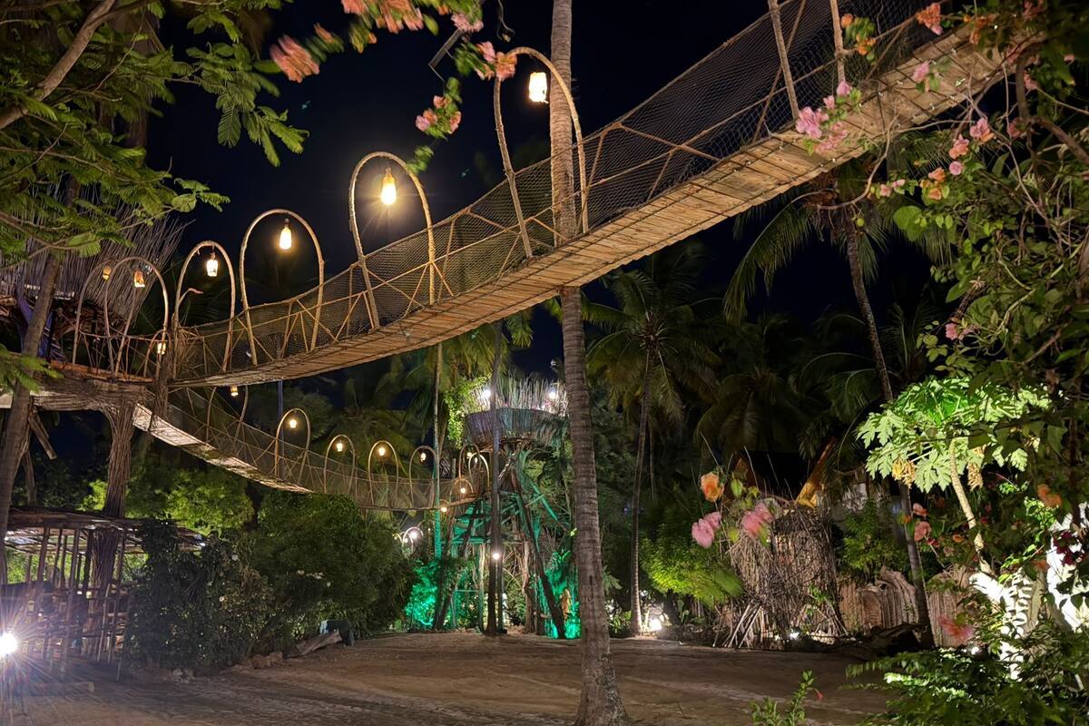 A rope bridge with lights, surrounded by greenery and palm trees.