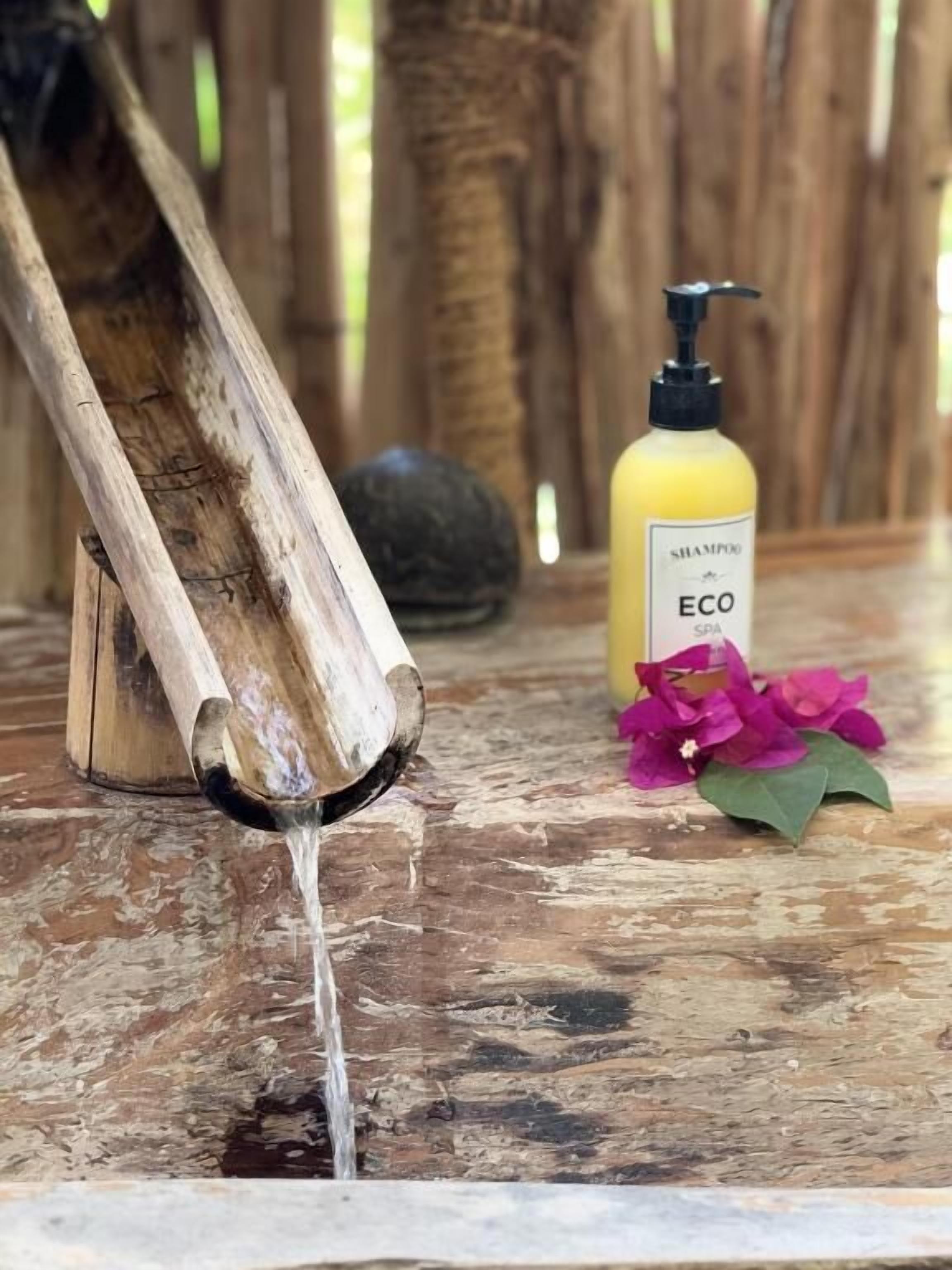 Free toiletries, hair dryer, towels, toilet paper