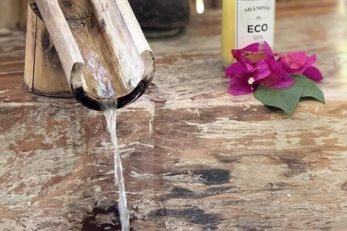 Free toiletries, hair dryer, towels, toilet paper