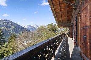 Property grounds - Grand Chalet Boisé Authentique, Vue sur les Alpes (Gryon)