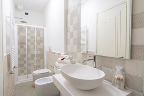 Shower, hair dryer, bidet, towels