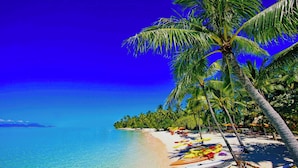 A beach with clear blue water, palm trees, and kayaks on the sand. - Kralendijk Boutique Hotel (Kralendijk)