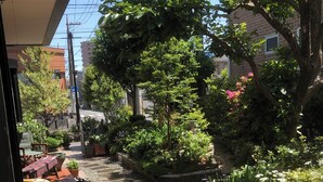 A courtyard with a stone pathway, potted plants, and a small water feature.