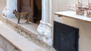 A cat on the steps outside a building with a sign reading "Donna Veneranda Bed & Breakfast."