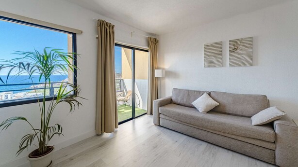 Un salon moderne avec un canapé, une plante en pot et une vue sur la mer.
