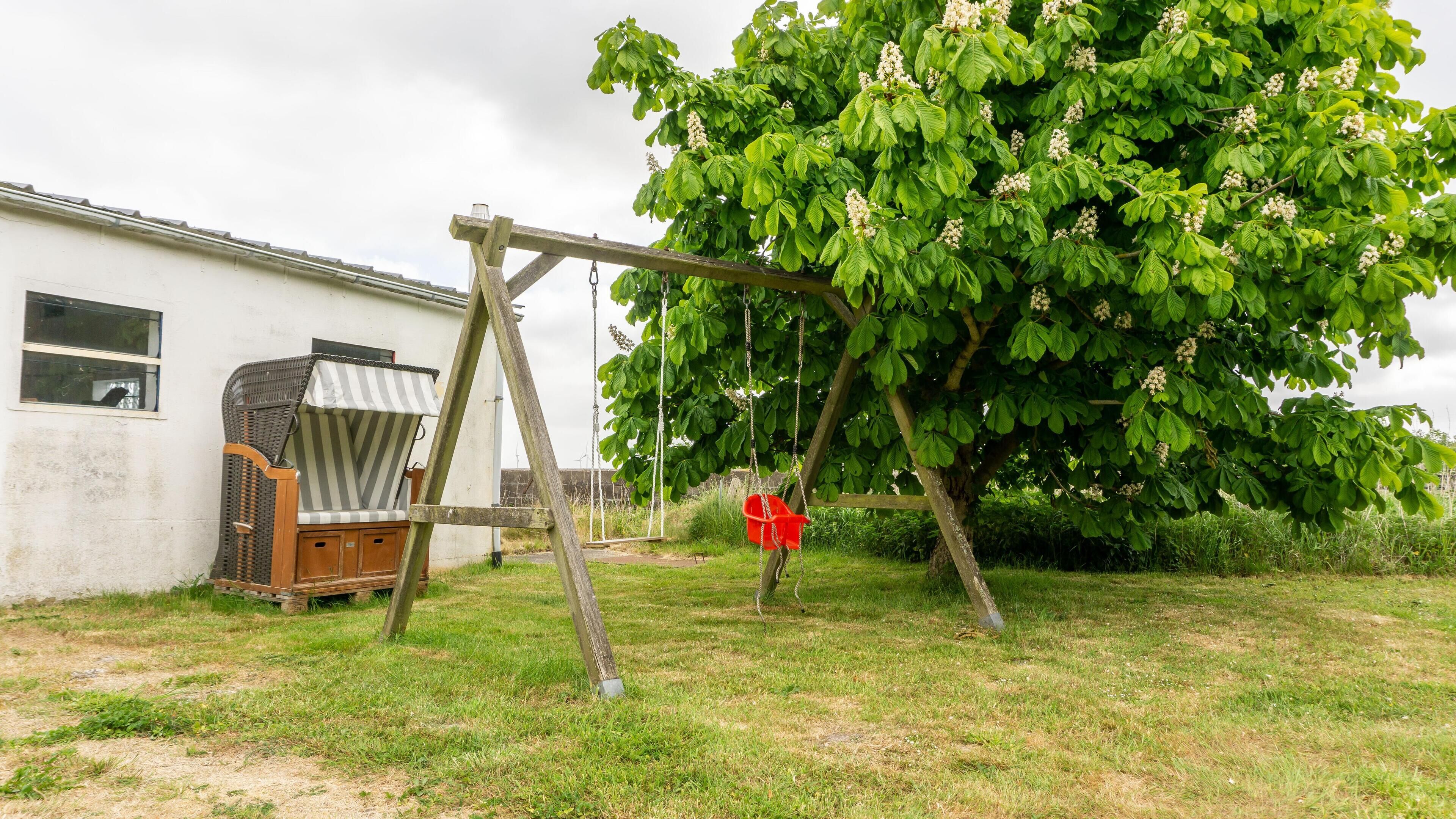 Eine Schaukel, ein Korbstuhl und ein Baum mit grünen Blättern und weißen Blüten.