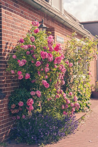 Vacation home Sonnenblume in Oldenswort for the whole family