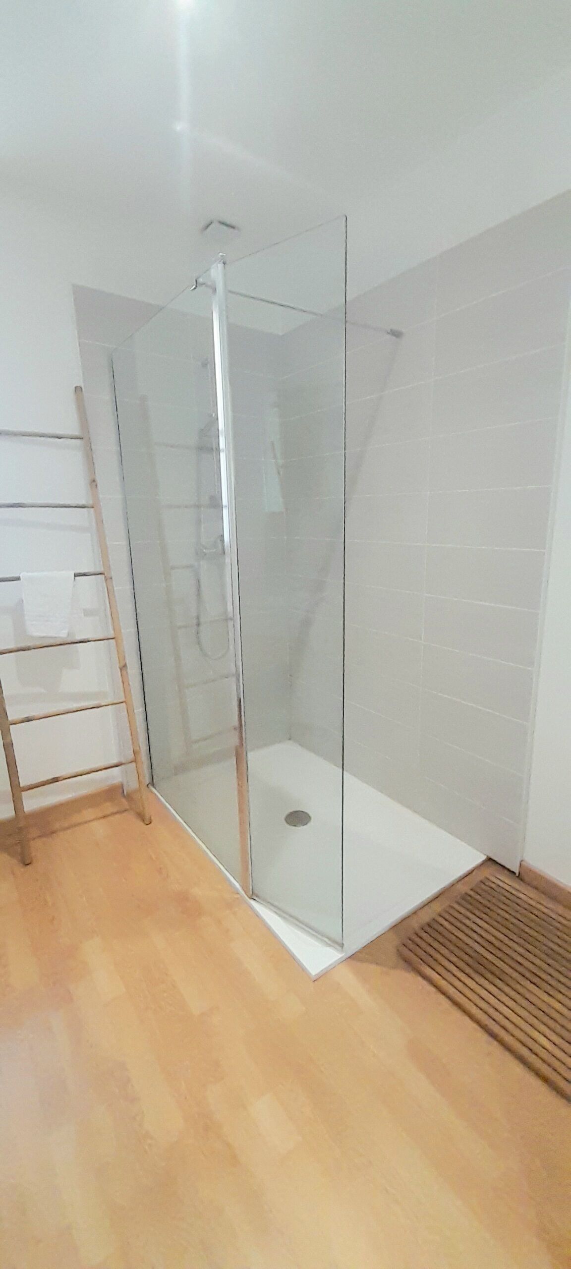 Ducha, secador de pelo, toallas y papel higiénico