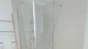 Regadera, secadora de cabello, toallas, papel de baño