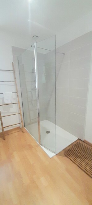 Shower, hair dryer, towels, toilet paper - Spacious duplex 6 Bedrooms /Azay (Azay-le-Rideau)