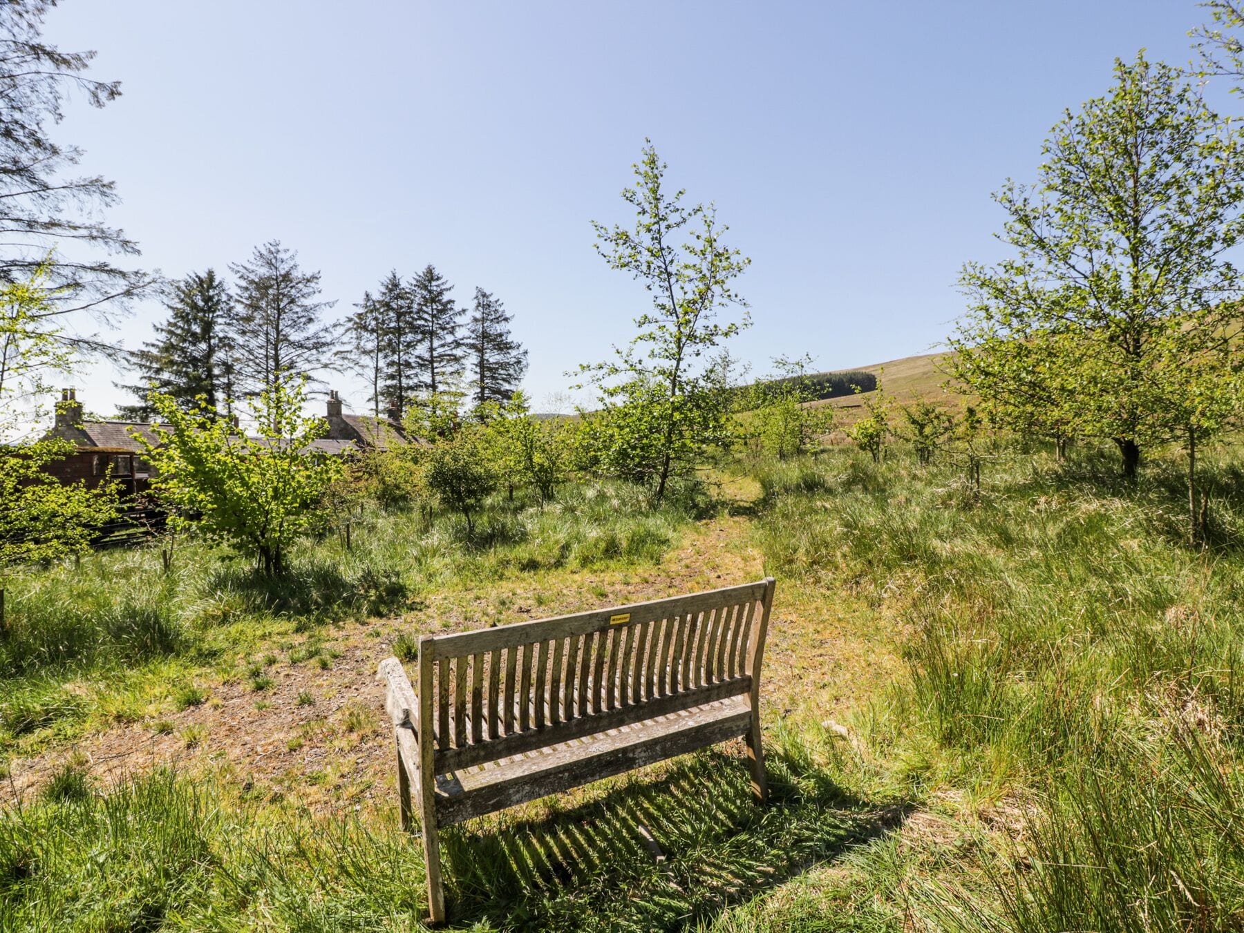 المنطقة المحيطة بالمنشأة