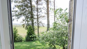 Udsigt fra et vindue over en brostensbelagt terrasse, en græsplæne og forskellige træer, heriblandt en høj fyr og en blomstrende busk.
