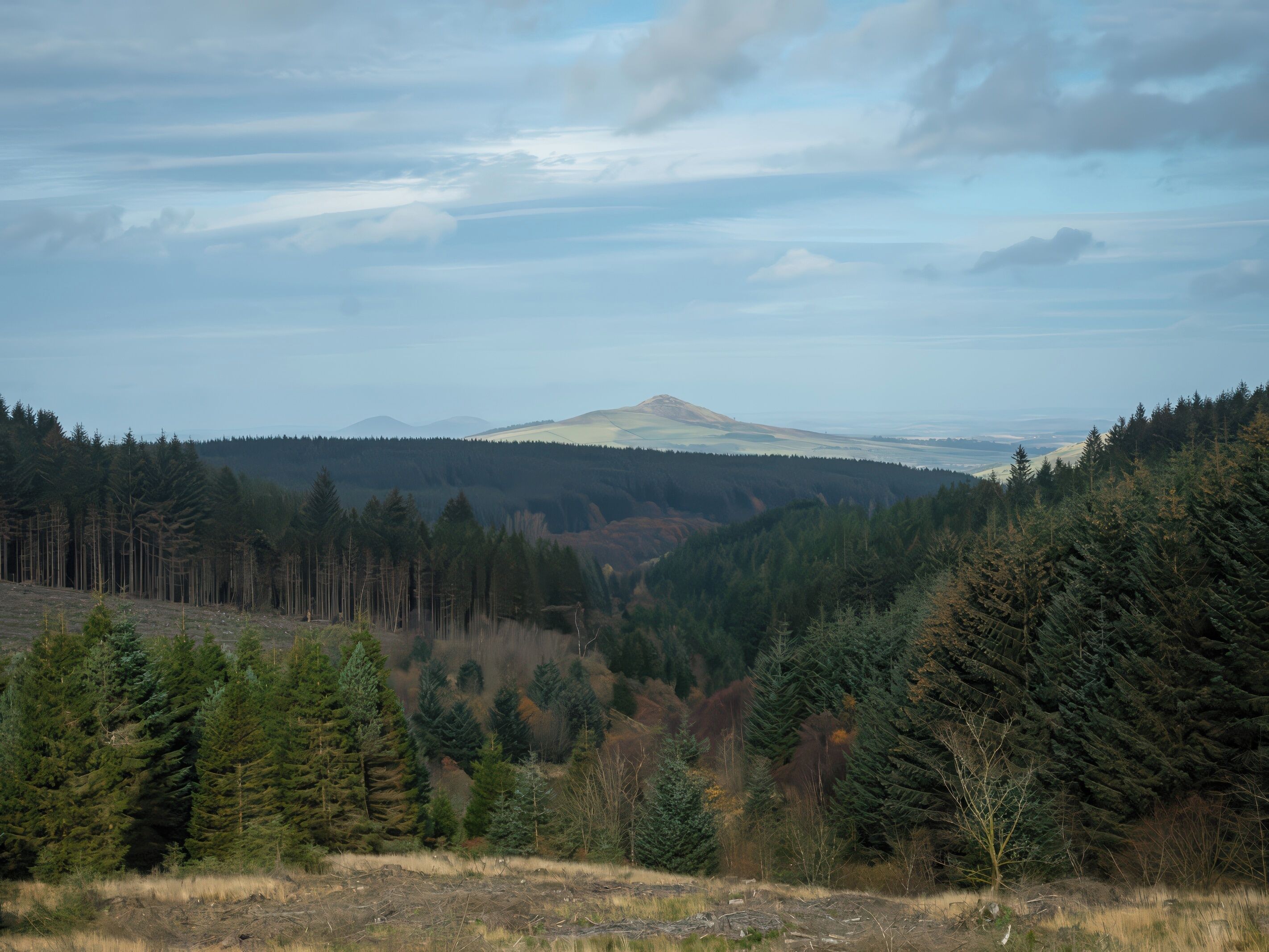 A mountainous landscape with dense forests and a distant hill.