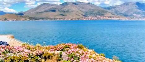 Àrea exterior de l'allotjament