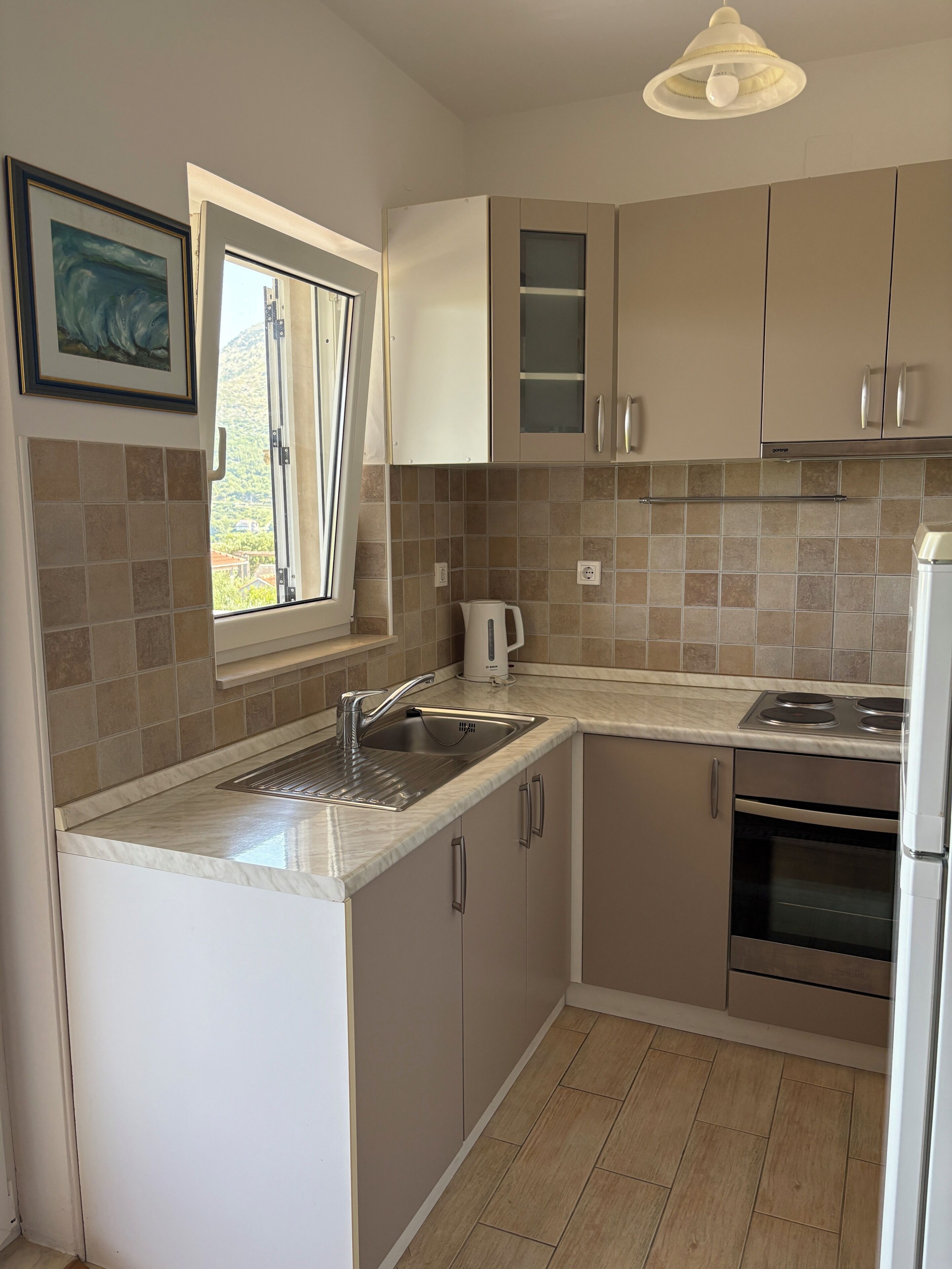 Fridge, oven, electric kettle, toaster