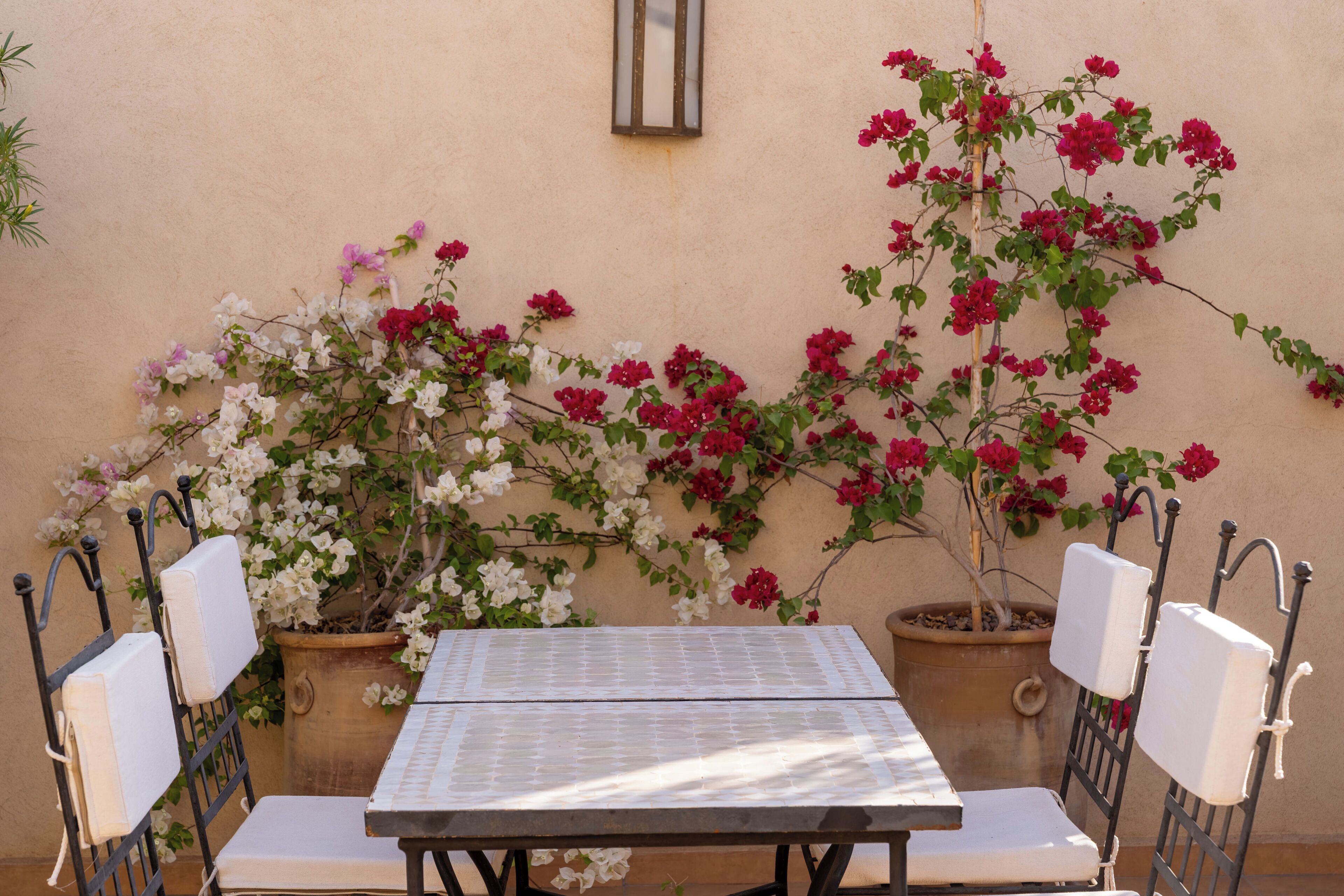 Foto - Riad Noasid
