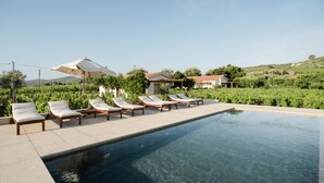 Piscina con sillas de descanso y sombrillas, rodeada de vegetación y edificios.