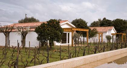 Imago Houses - Private Pool - Douro Valley - by MET