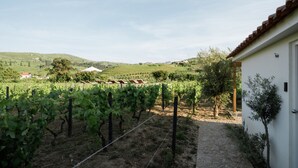 Villa | 2 bedrooms - Imago Houses 3 - by MET (Lamego)