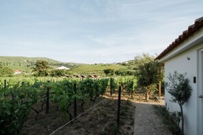 2 bedrooms - Imago Houses 3 - by MET (Lamego)