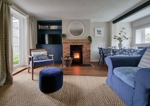 TV connectée, cheminée, livres