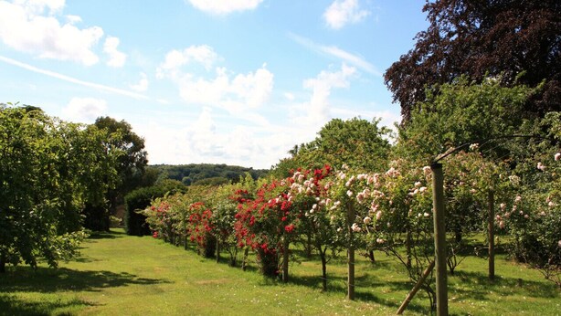 A garden with rows of flowering trees and a clear sky. - Set in the stunning grounds of Bayfield Hall (Bayfield)