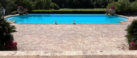 A rectangular swimming pool with a brick border, surrounded by greenery and potted plants.