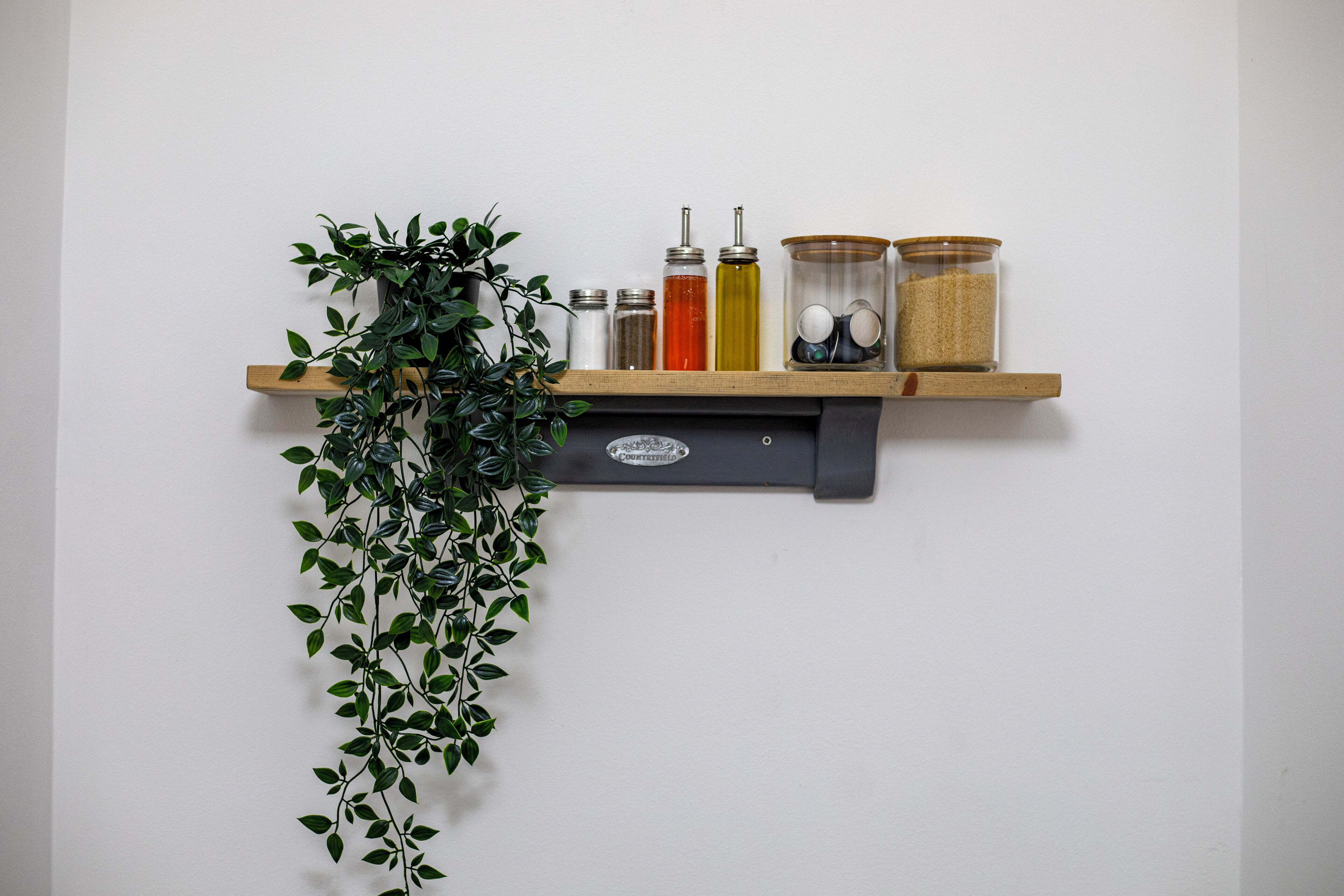 A shelf with jars, a plant, and a metal container.