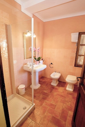 Shower, hair dryer, bidet, towels