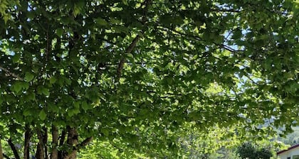 Gîte accessible PMR Vosges - La Lanterne, 6 pers with private spa