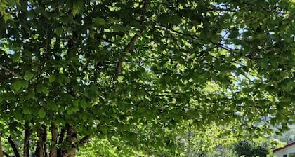 Accessible Vacation Rental in the Vosges - La Lanterne (Sleeps 6) - Private Spa